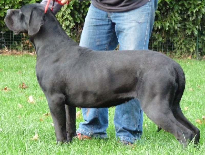 Diana ross Du Clos des Trois Rivières