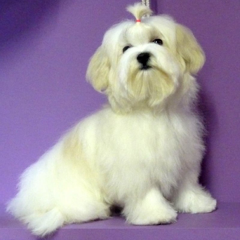 Publication : Valma's Signature