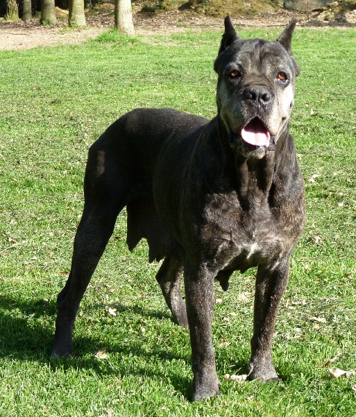 Publication : Valma's Signature