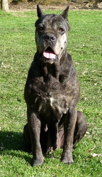 Publication : Valma's Signature