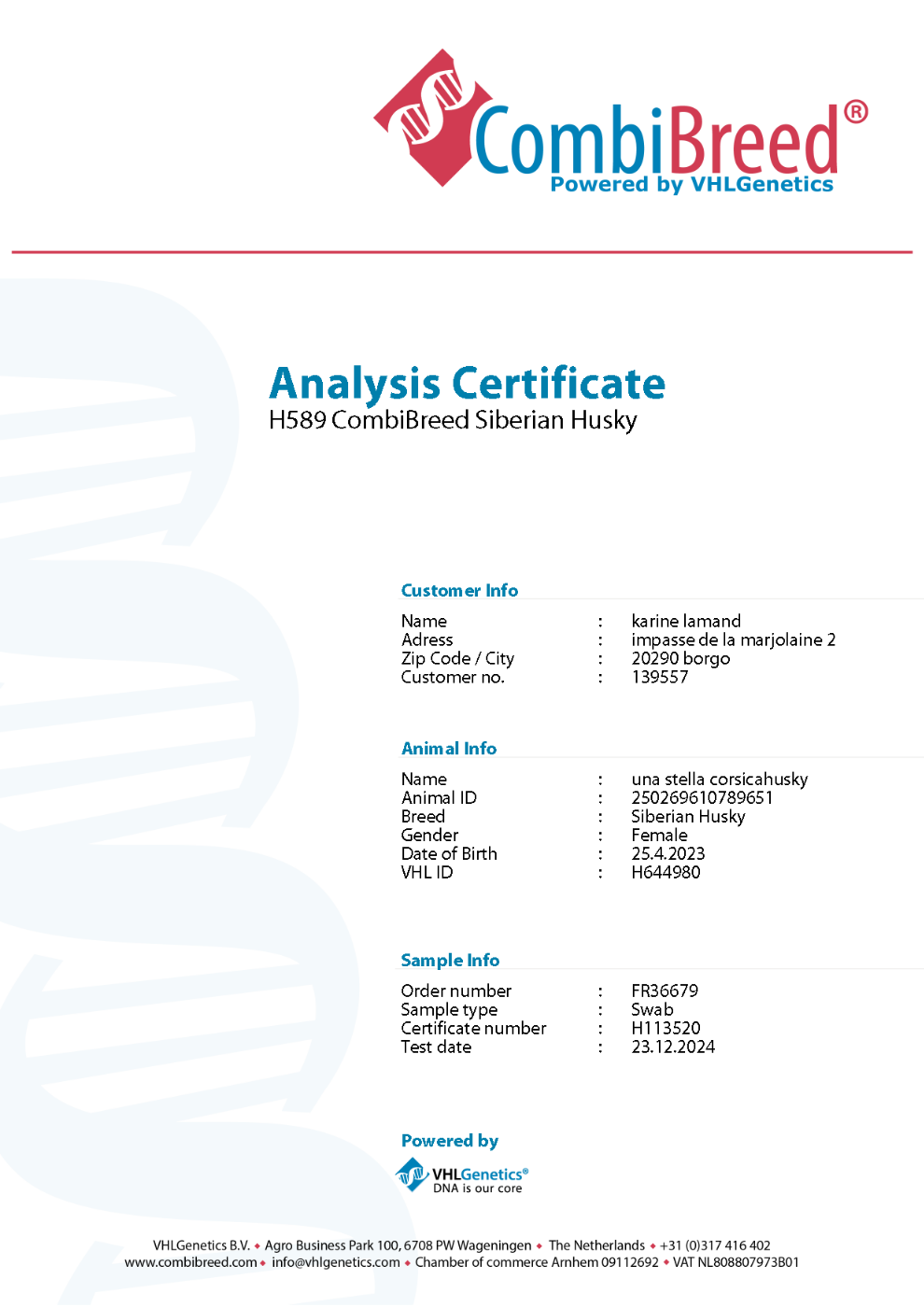 Publication : Corsicahusky