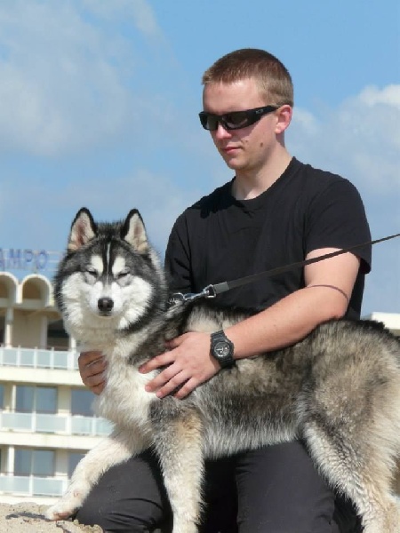 Publication : Corsicahusky