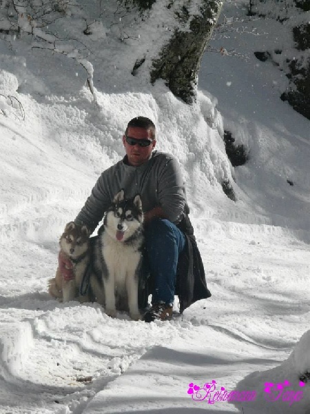 Publication : Corsicahusky