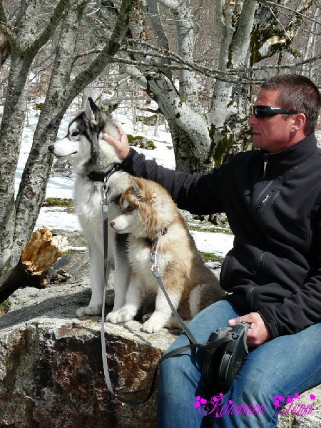 Publication : Corsicahusky