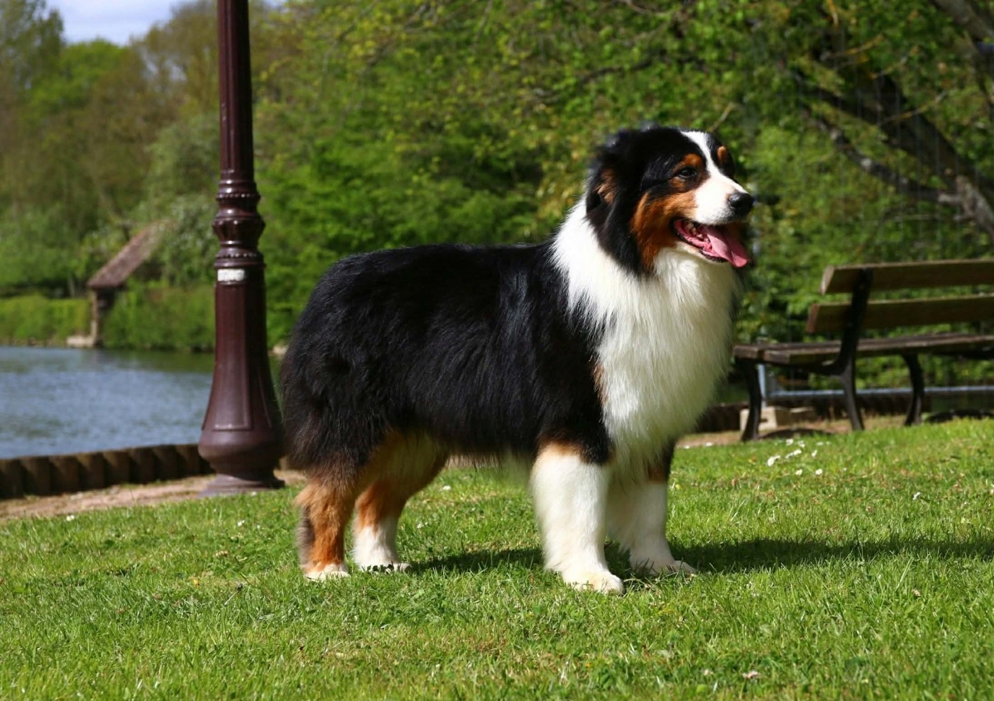 CH. seventy seven Eastern delight