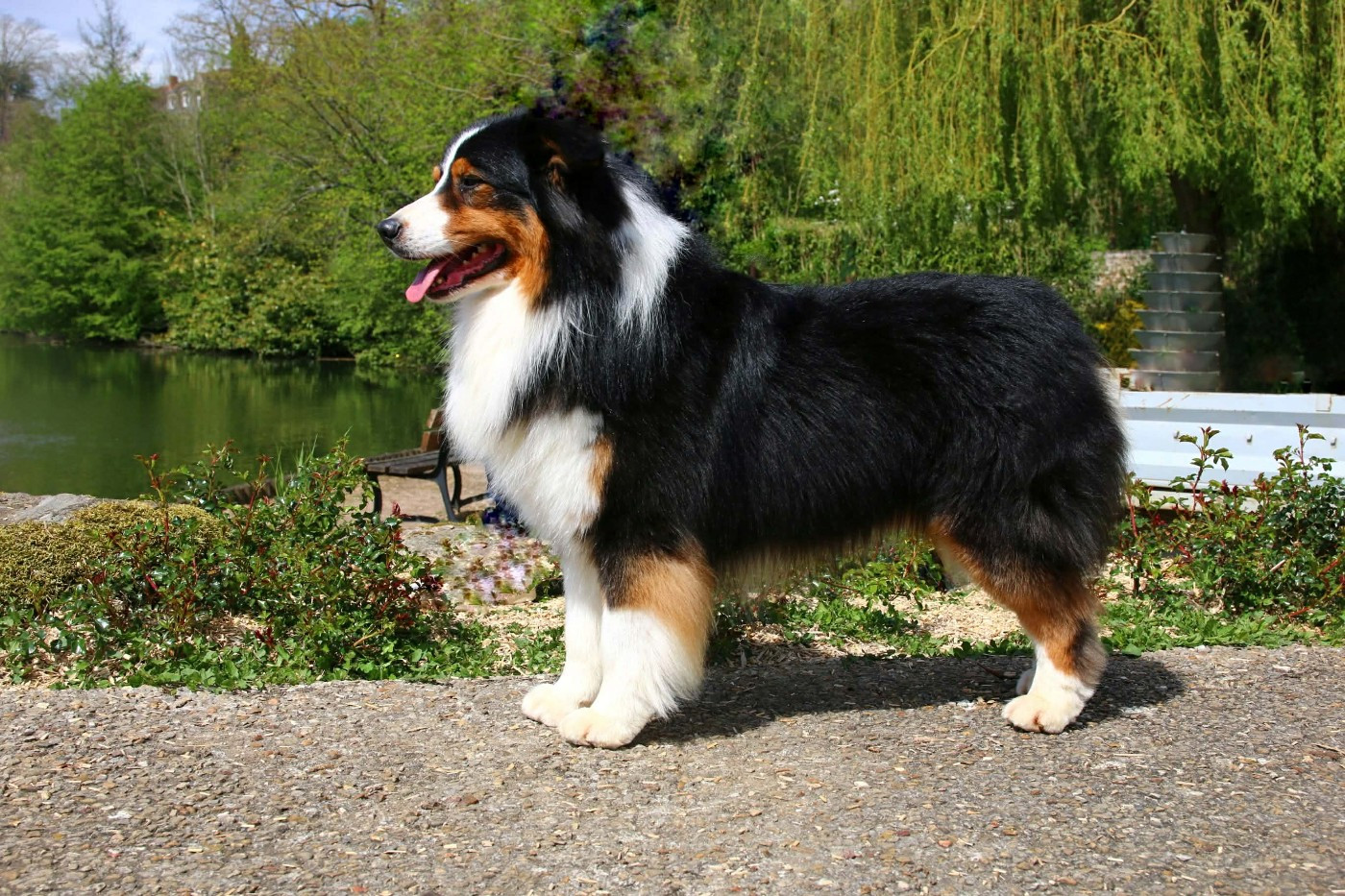 CH. seventy seven Eastern delight