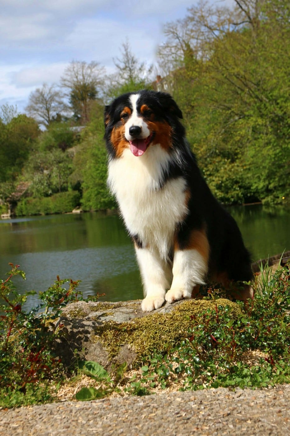 CH. seventy seven Eastern delight