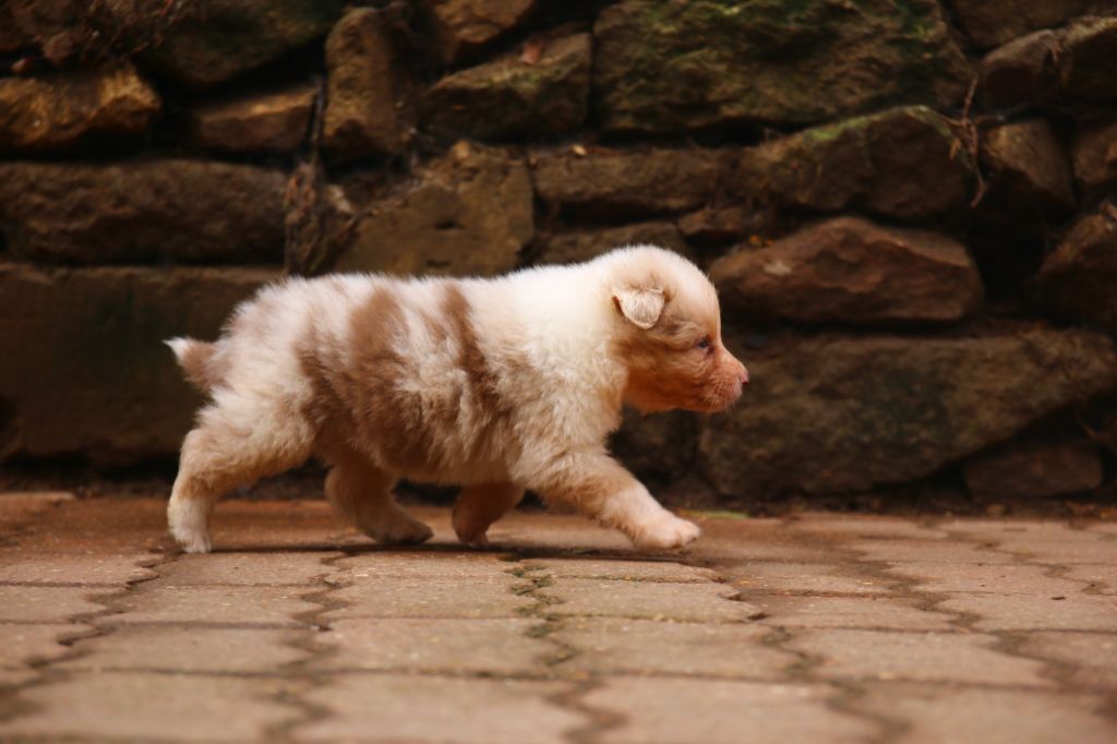 agence tous risques Futé