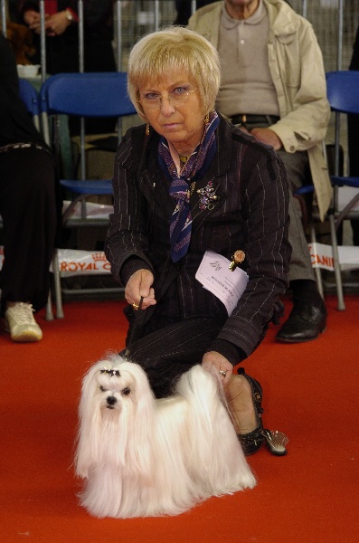 CH. Cash fantasy risqué de Nisjotial - CACIB-CAC - BOB