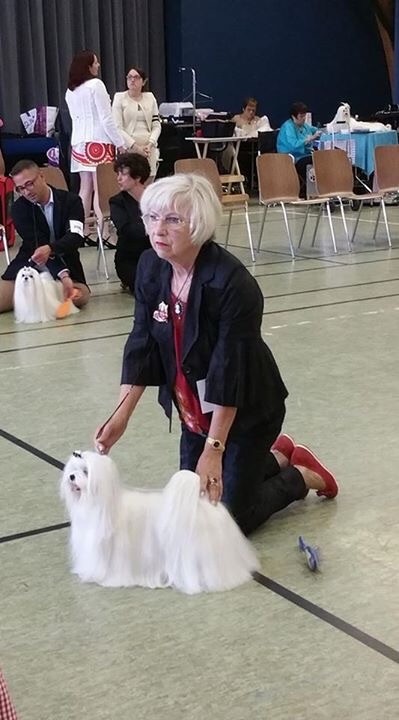 CH. Joly coeur fantasy de Nisjotial - 2 e EXC. RCACS