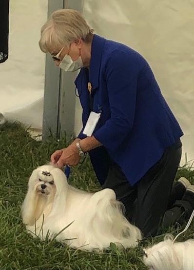 CH. Phantasmagoria by golden blanc - 3 e EXCELLENT