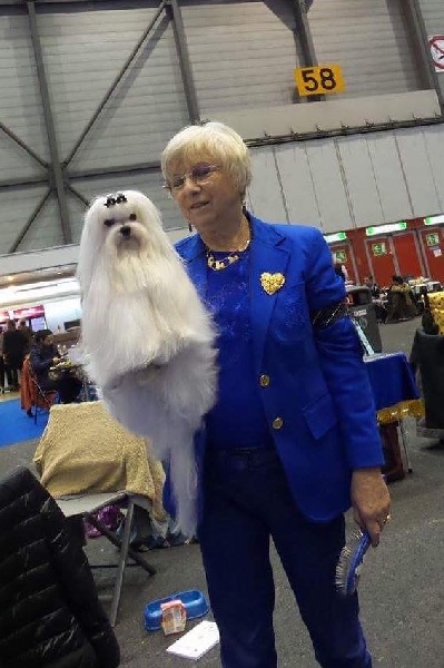 CH. Joly coeur fantasy de Nisjotial - 1er Exc. RCAC