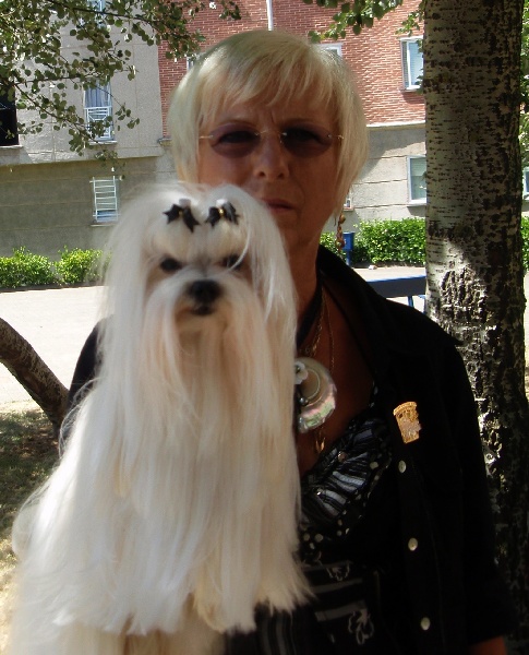 CH. Cash fantasy risqué de Nisjotial - CACIB CAC 1ere Excellent - Meilleure de race