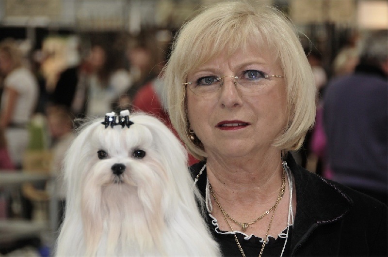 CH. richelieu's Don juan - R-CACS