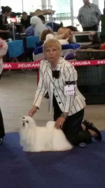 CH. Joly coeur fantasy de Nisjotial - 3e excellent - classe ouverte