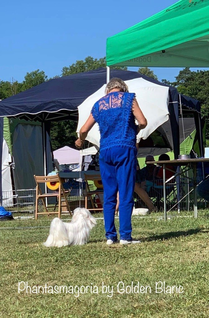 CH. Phantasmagoria by golden blanc - cl. Jeune : 1er Excellent J.CAC - Best Jeune - Best de race