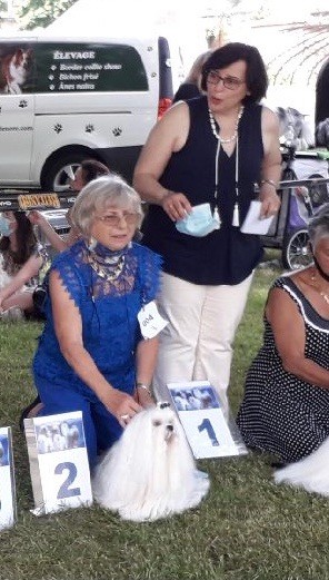 CH. Phantasmagoria by golden blanc - 2e excellent