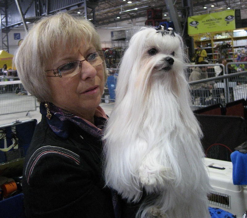 CH. Cash fantasy risqué de Nisjotial - 2e Exc. R-CAC