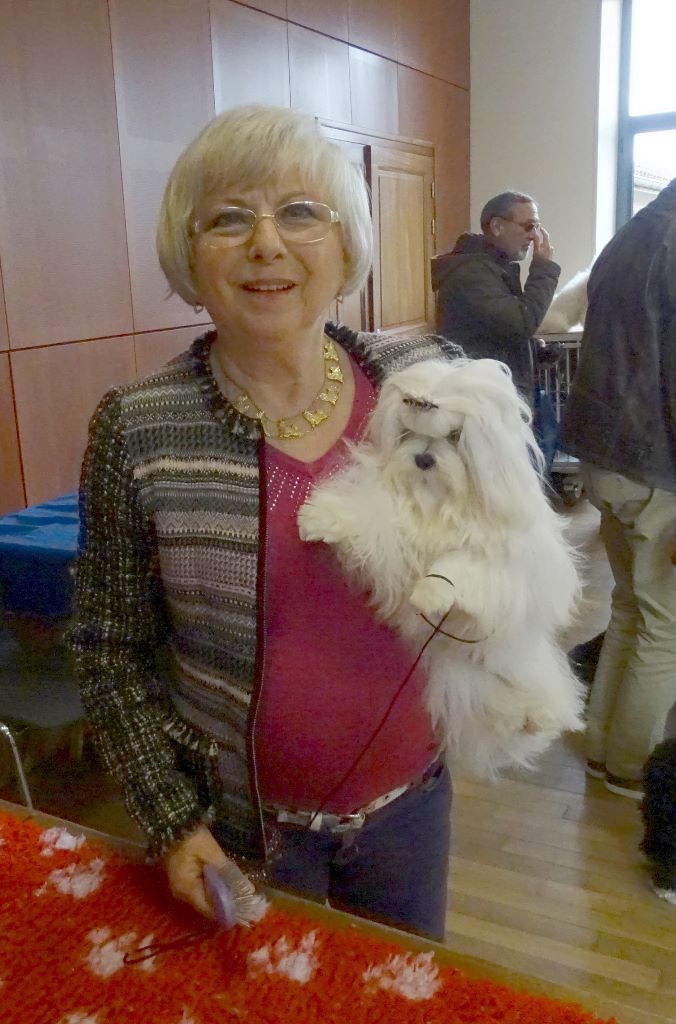 CH. Phantasmagoria by golden blanc - classe jeune : 1er Excellent - Best Jeune - BOB - Réserve BIS