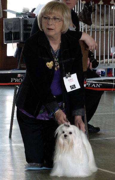 CH. richelieu's Don juan - Excellent 3e