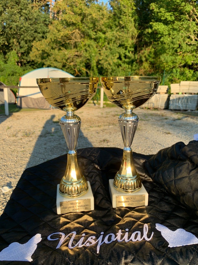 CH. Phantasmagoria by golden blanc - 1er Exc. CAC - CACIB