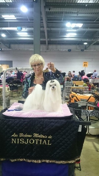 CH. Joly coeur fantasy de Nisjotial - 1 er Excellent CAC