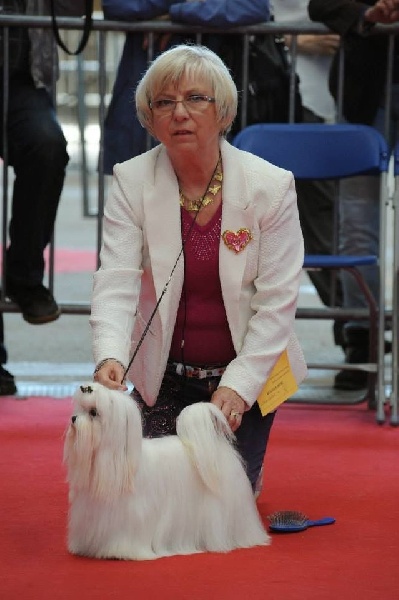 CH. Joly coeur fantasy de Nisjotial - 1er EXC.Best jeune-Best groupe 9 junior - Réserve Best in Show Junior