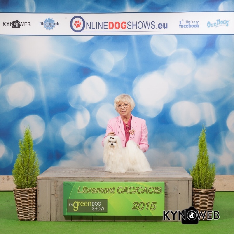 CH. Joly coeur fantasy de Nisjotial - CACIB-CAC- Best Maltais - Best of groupe 3