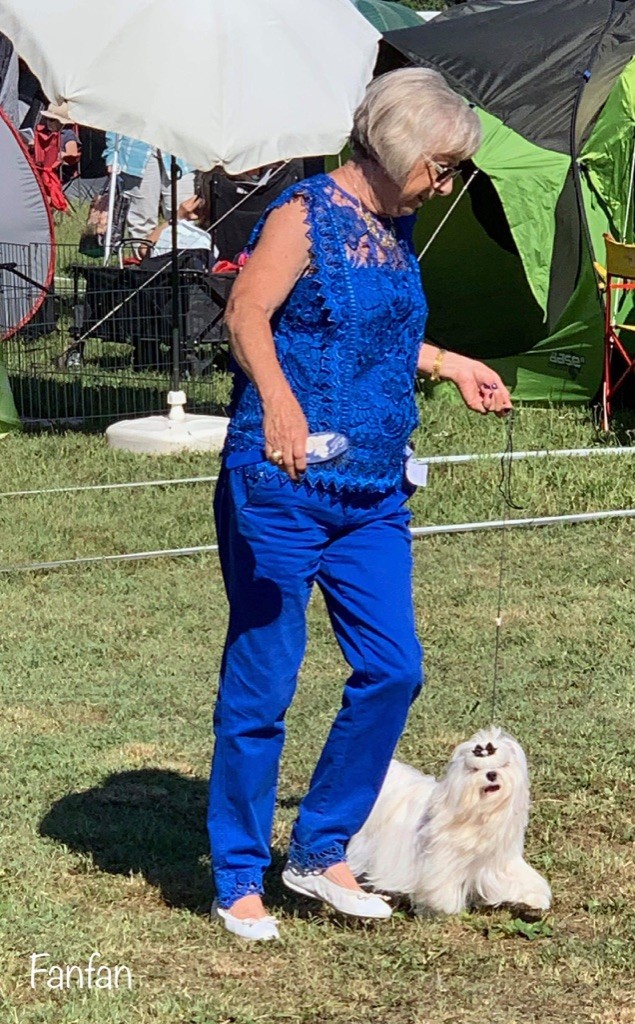 CH. Phantasmagoria by golden blanc - cl.jeune : 1 er Excellent - JCAC - Best Jeune - Best de race