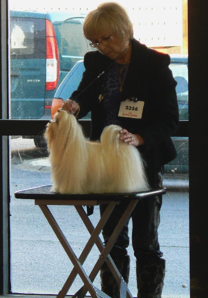 CH. richelieu's Don juan - 1er TB