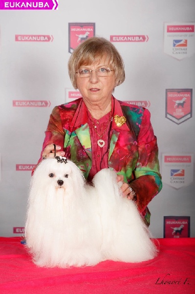 CH. Joly coeur fantasy de Nisjotial - 1er excellent CACS - RCACIB