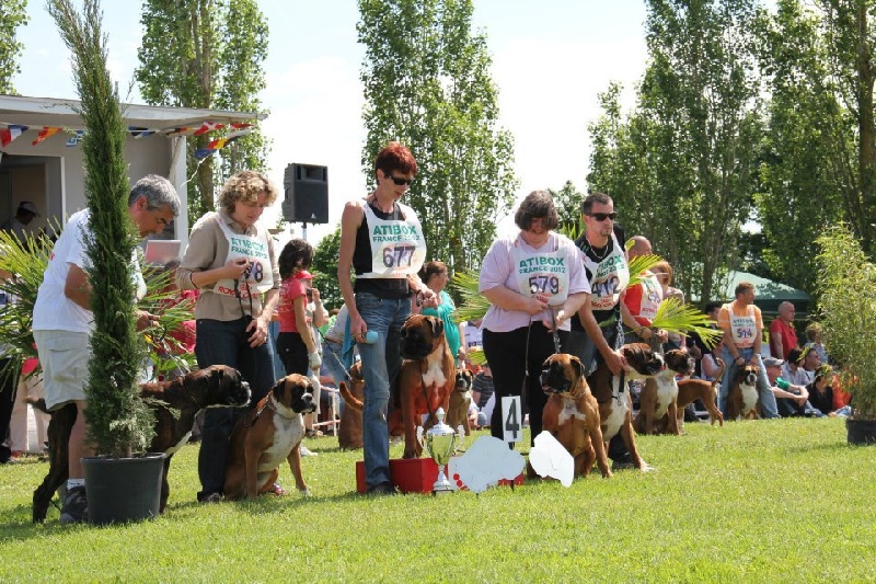 Freude des laquets de Sencours - Lot de Reproducteur: 4°Excellent