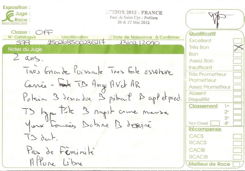 Freude des laquets de Sencours - Classe ouverte femelle fauve: TB