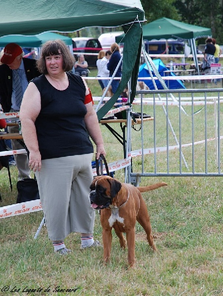 Freude des laquets de Sencours - Classe ouverte femelle fauve: 1° Excellent et CACS