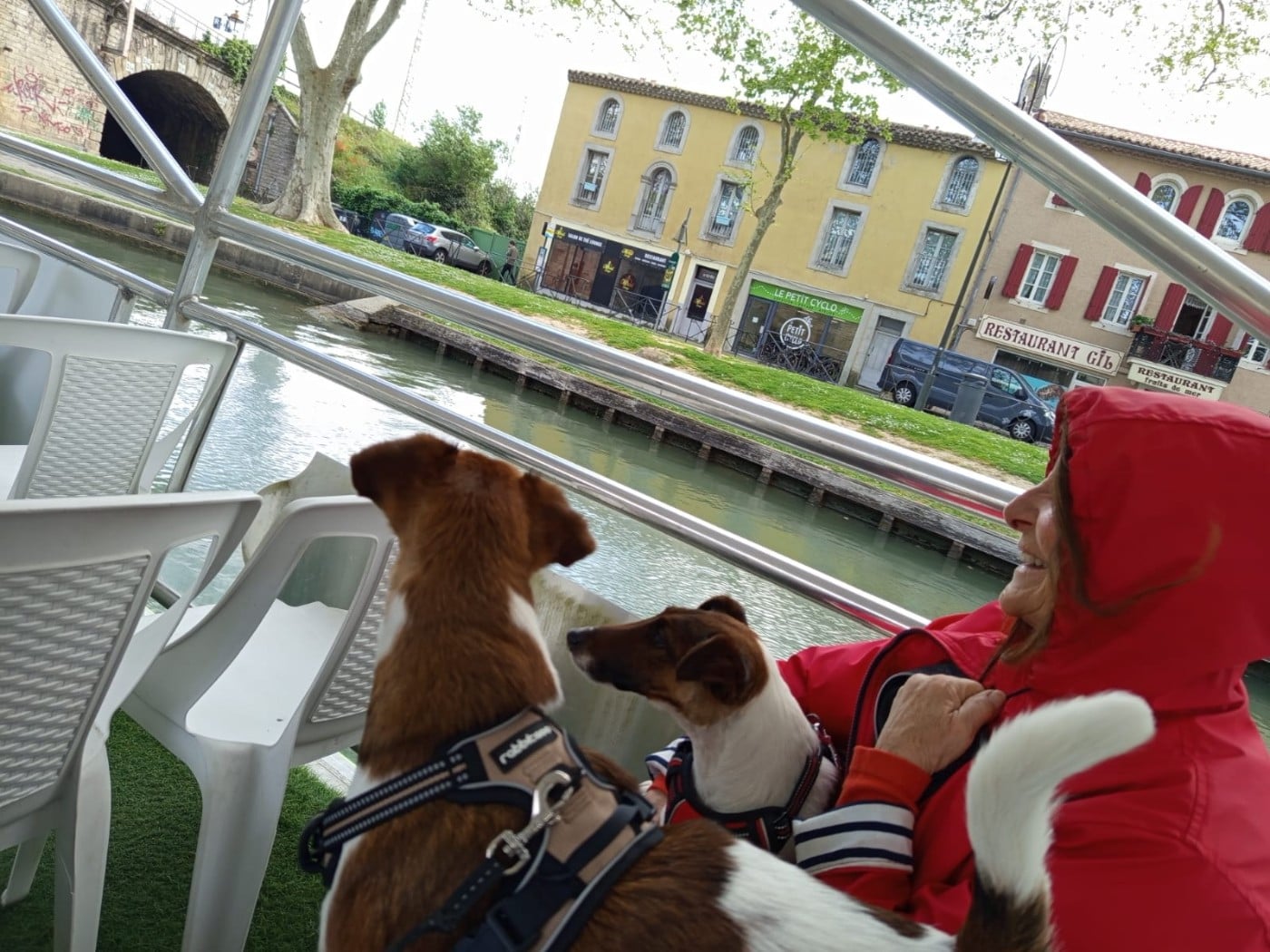 Voice Pumpkin du gai tourtel