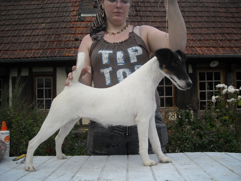 Publication : du gai tourtel