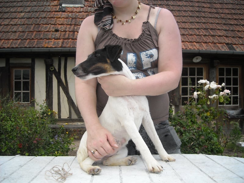 Publication : du gai tourtel