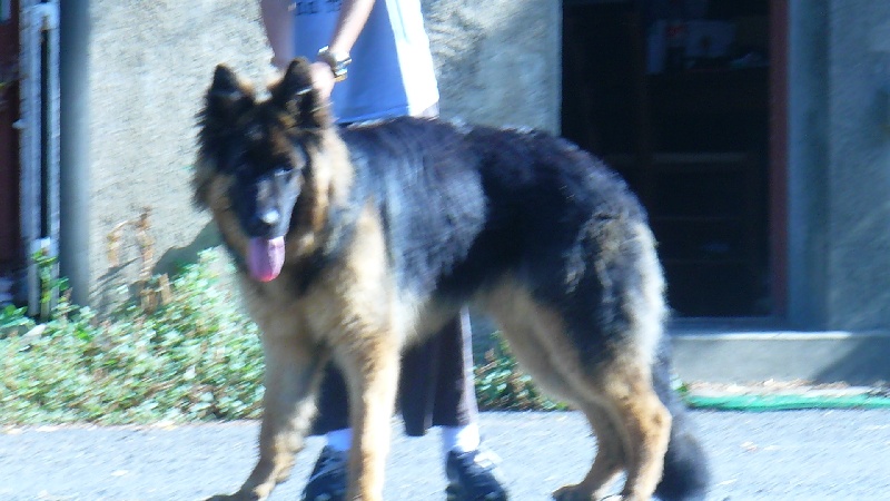 Publication : de noelland