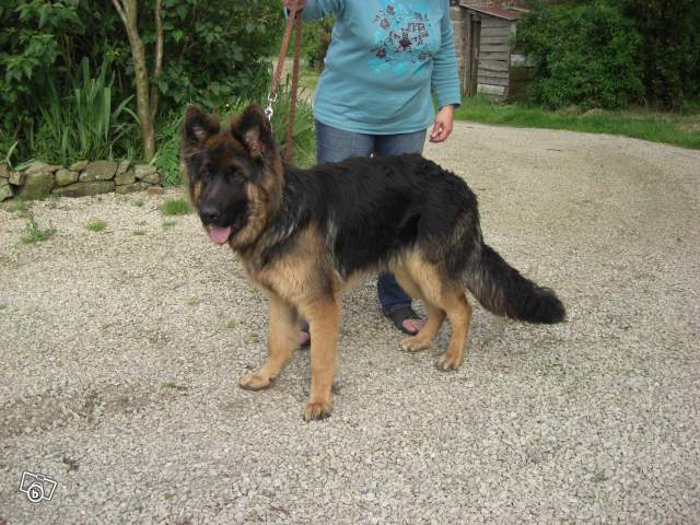 Publication : de noelland