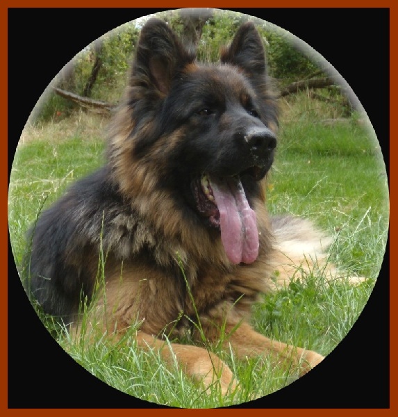 Publication : de noelland