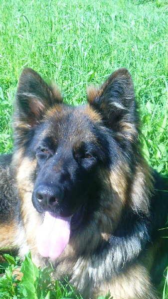 Publication : de noelland