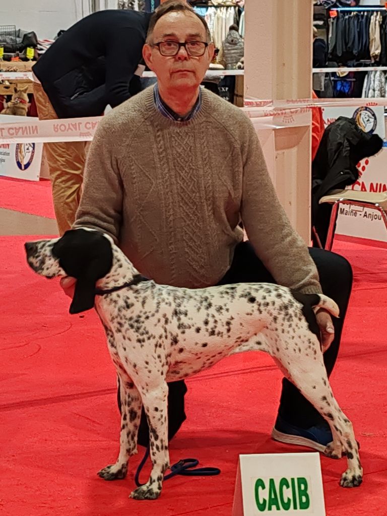 Vesta des hauts de rouillac - CACIB-J