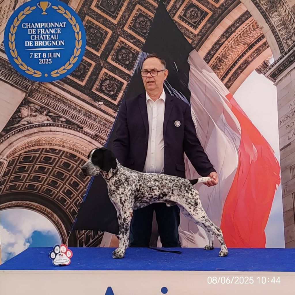 Vasco des hauts de rouillac - CACIB-J