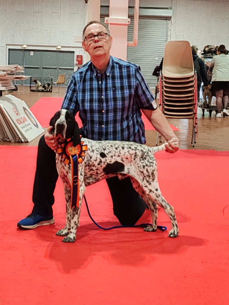 CH. Tom des hauts de rouillac - 1er EXC CACS CACIB BOB 2 BOG