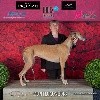 - Exposition Internationale de Montluçon 17.03.18