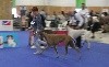 - Championnat de France Le Bourget 02.0618