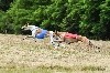 - PVL Saint Denis de Pile 17.06.18