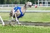 - 19.05.18 Grand Prix Racing Mladá Boleslav (République Tchèque)