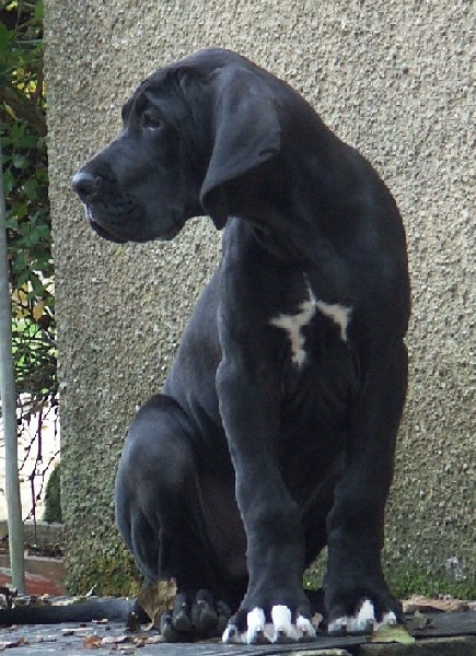 Bethléem De misandre