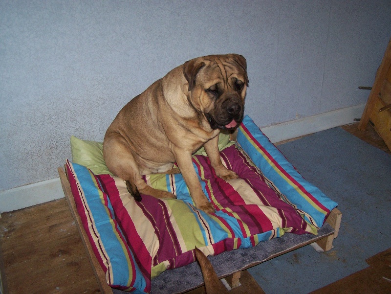 Best of (Sans Affixe)